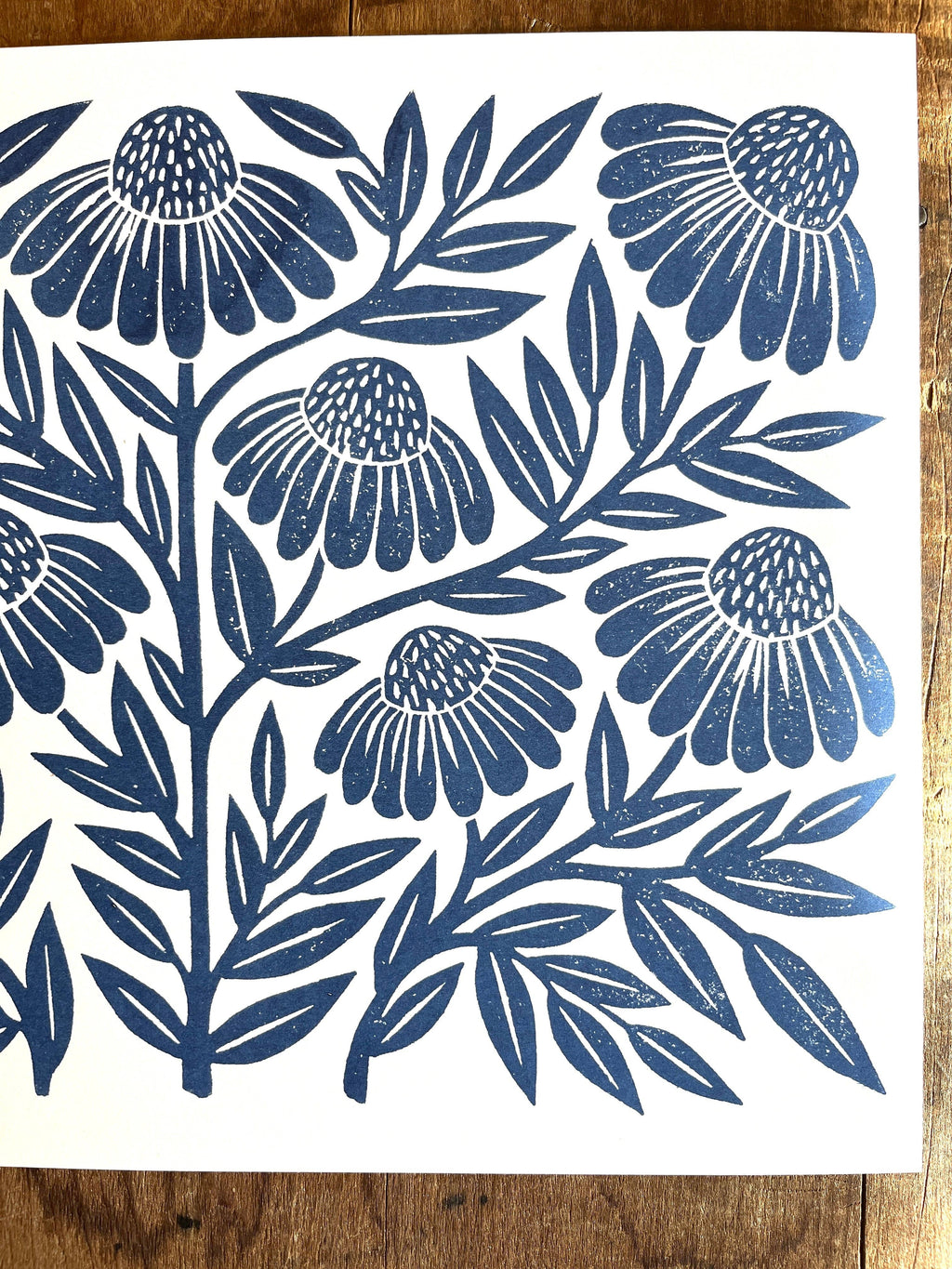 Katharine Watson - Garden Series: Navy Echinacea Risograph Print