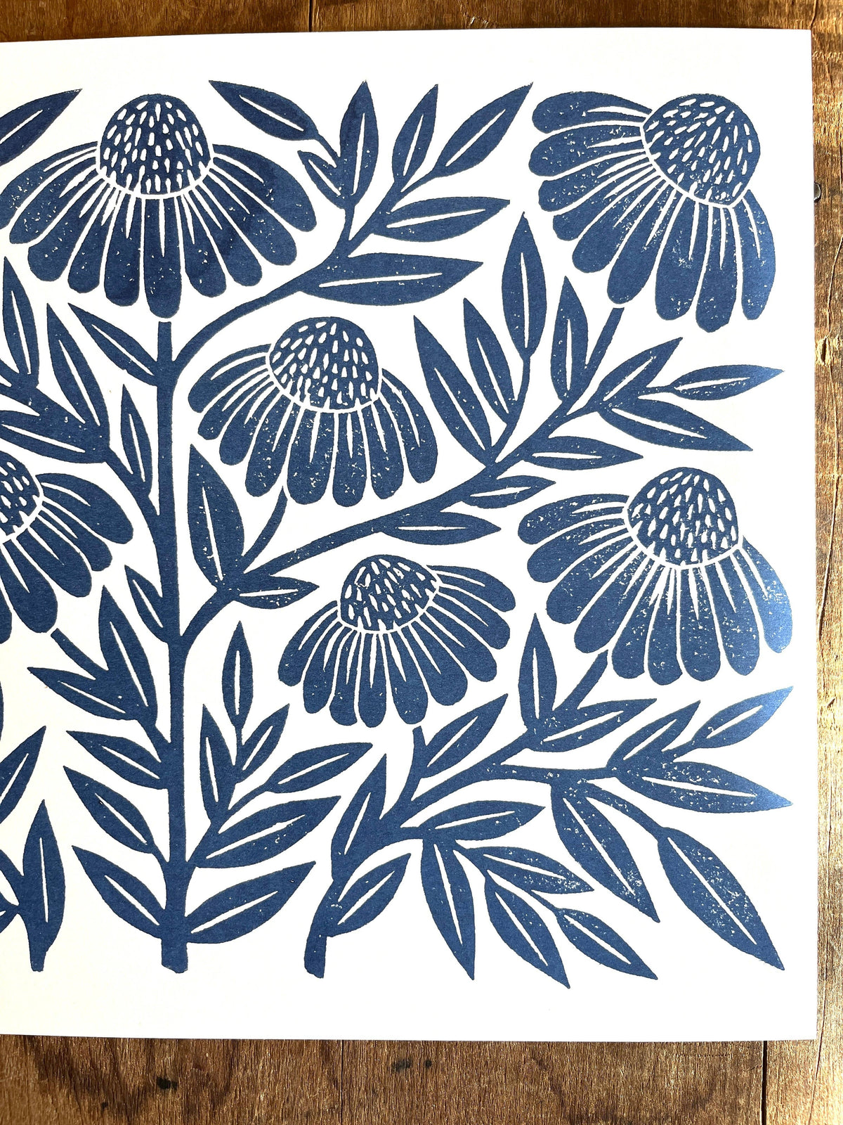 Katharine Watson - Garden Series: Navy Echinacea Risograph Print