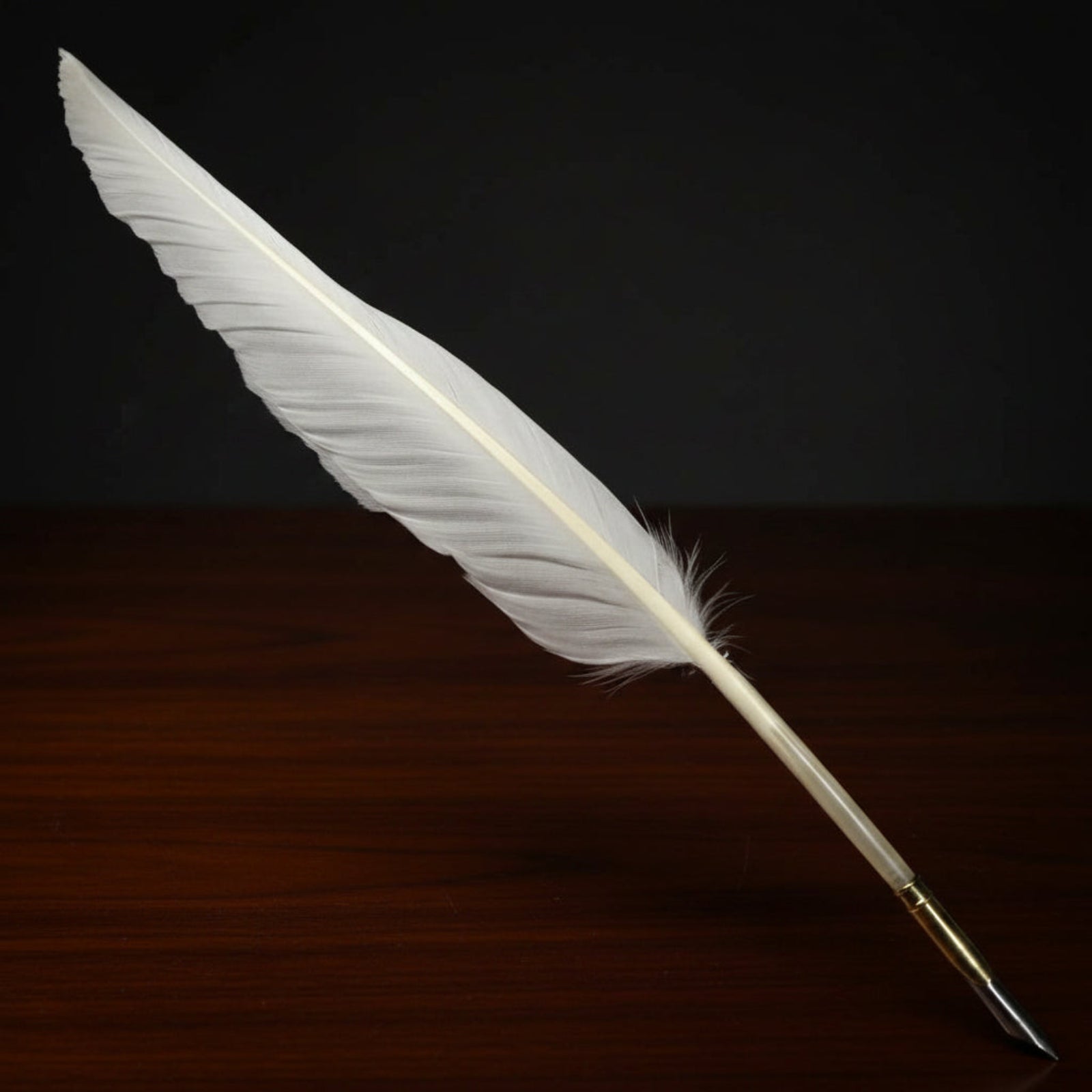 Colonial Quill Writing Box Set
