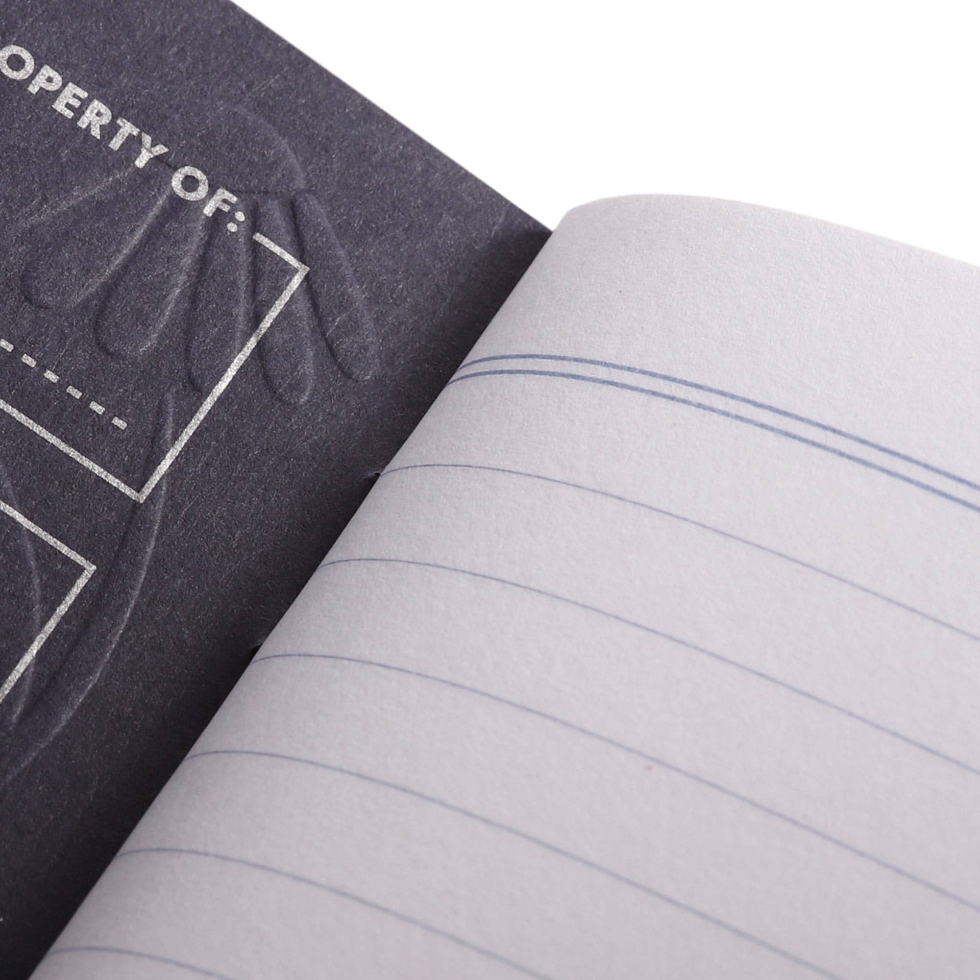 Field Notes — Fall Flowers — 3-Pack