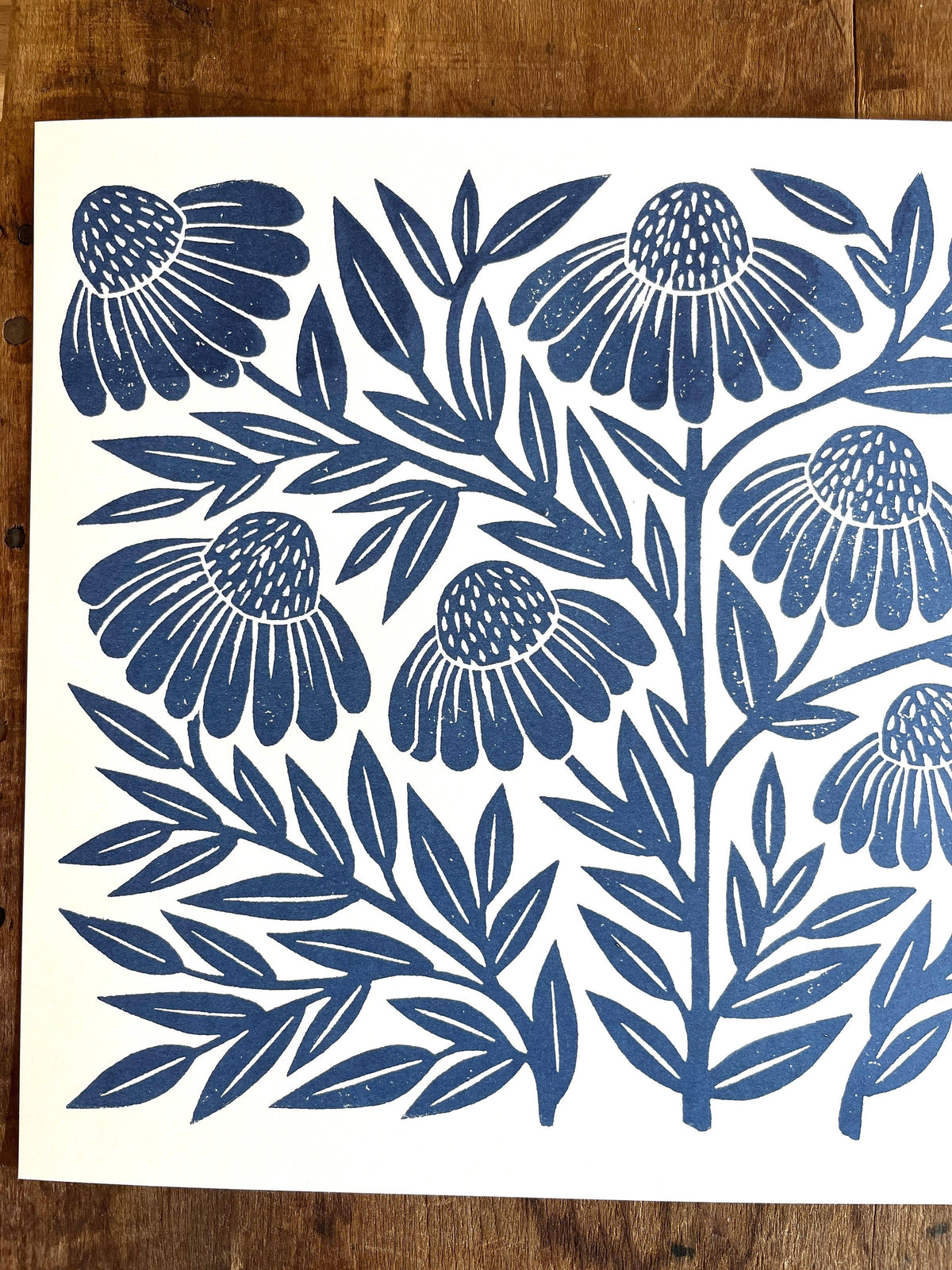 Katharine Watson - Garden Series: Navy Echinacea Risograph Print