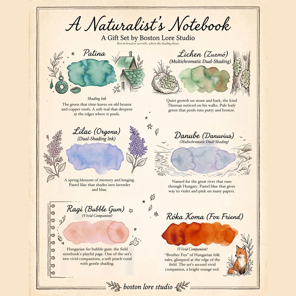 A Naturalist's Notebook ink card included in the gift set: illustrated watercolor swatches and notes for Patina, Lichen, Lilac, Danube, Ragi and Roka Koma