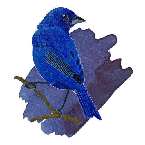 Writing swatch of Anderillium Indigo Bunting Blue fountain pen ink