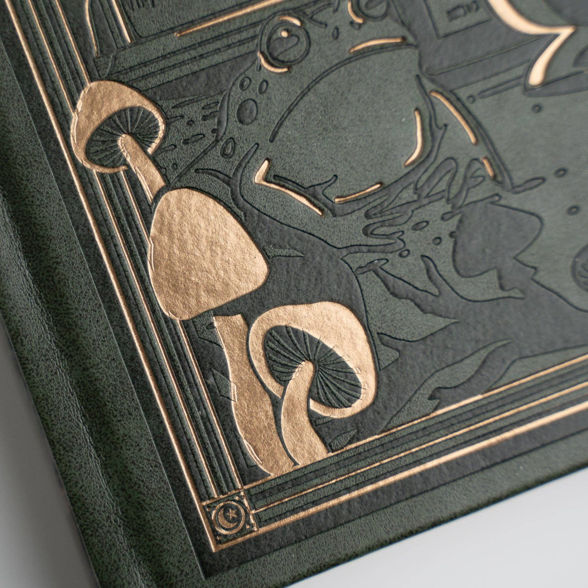 Archer & Olive Apothecary Shelf A5 notebook: Close-up of mushrooms and metallic foil detailing.