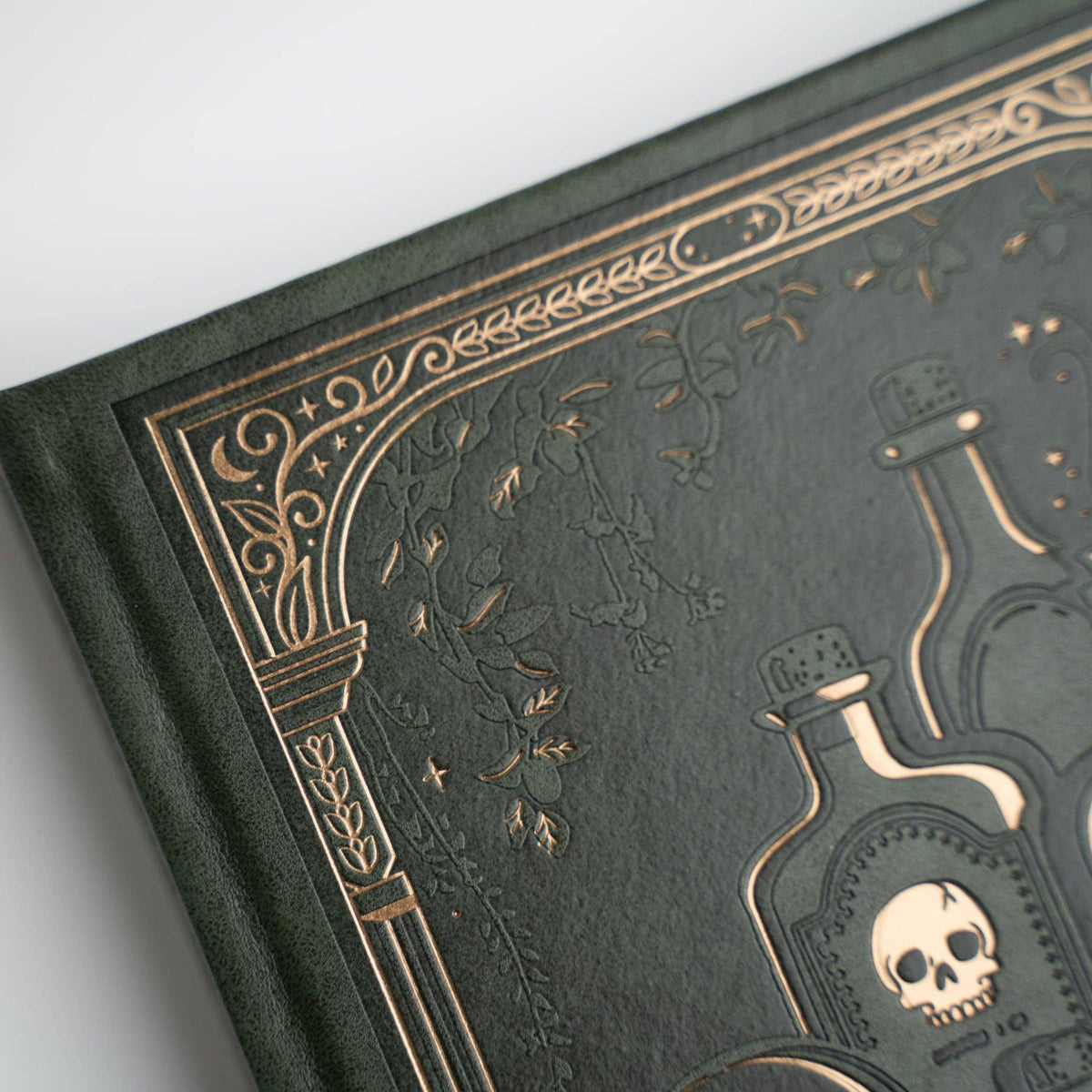 Archer & Olive Apothecary Shelf A5 notebook: Close-up of the decorative border and foliage.
