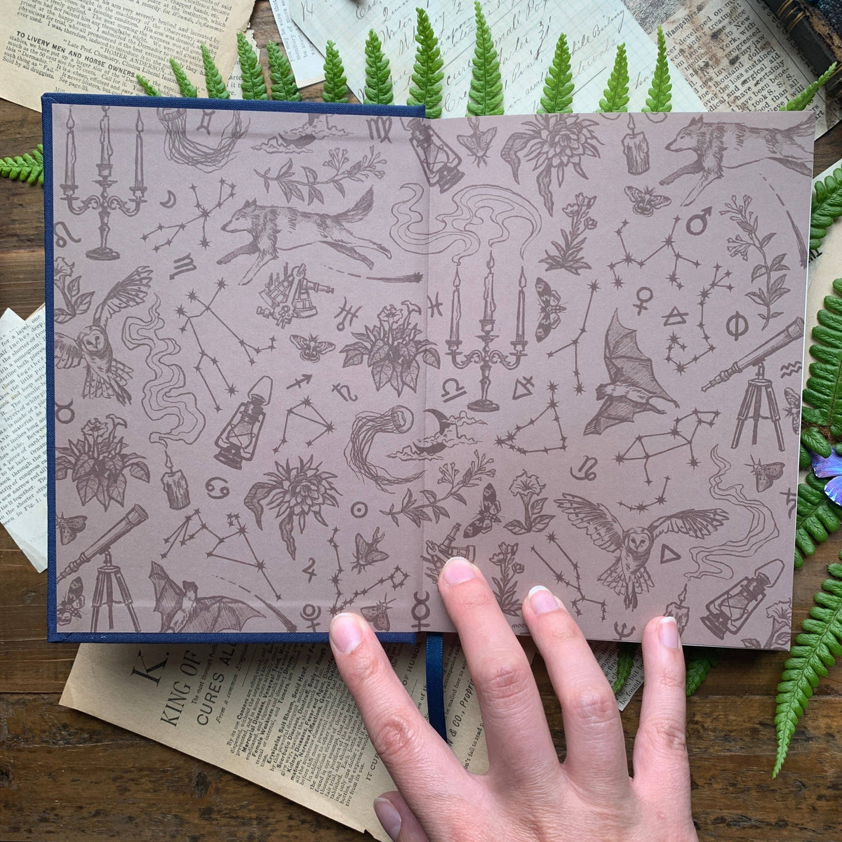 Illustrated endpapers inside The Creeping Moon The Astronomer B6 notebook