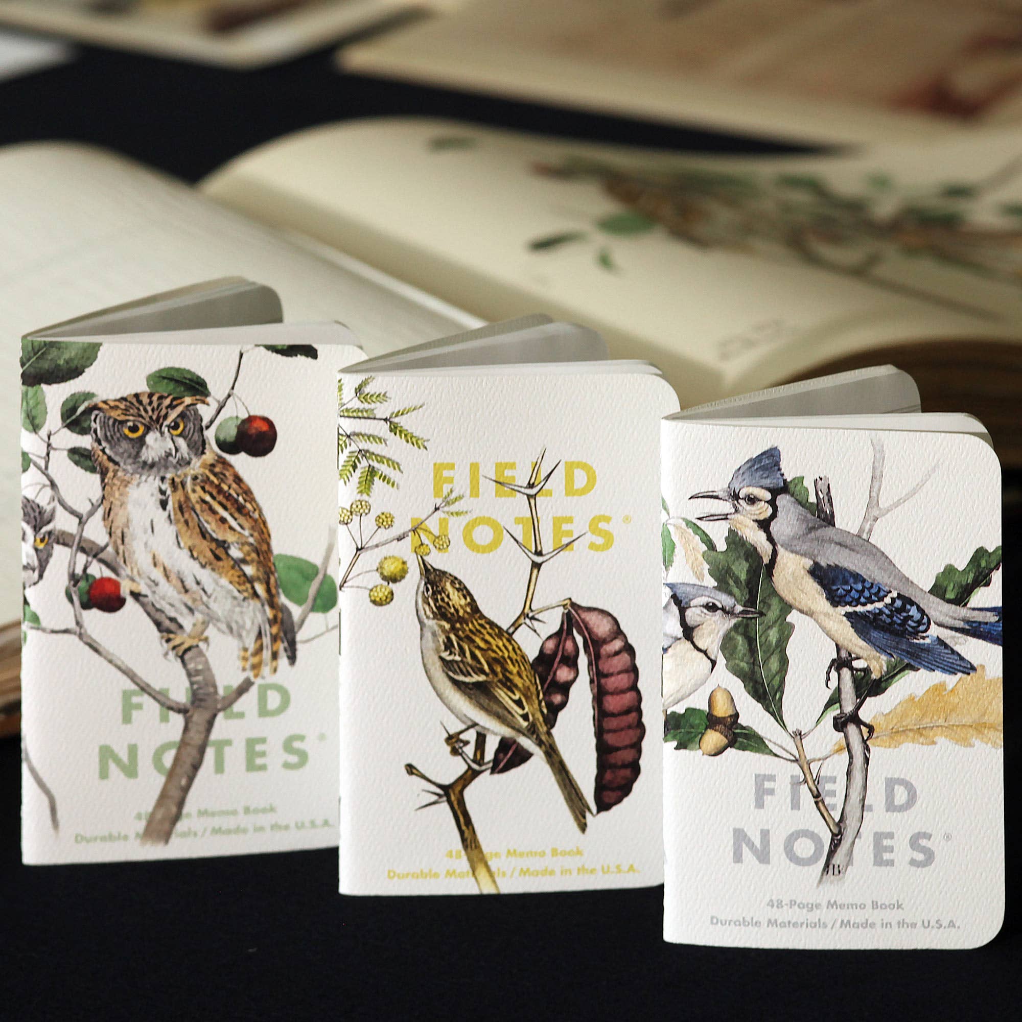 Field Notes — Birds and Trees of North America — 3-Pack