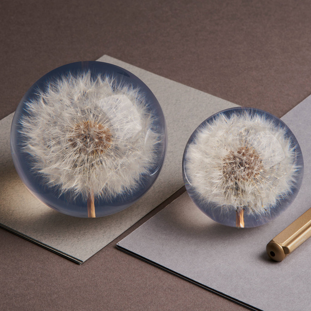 Hafod Grange Dandelion Botanical Paperweight