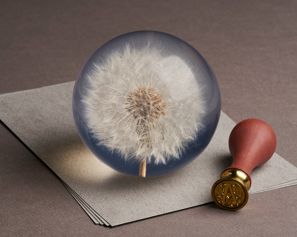 Hafod Grange Dandelion Botanical Paperweight