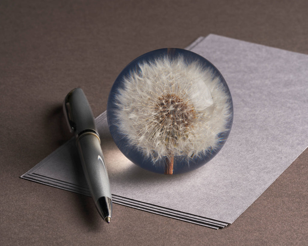 Hafod Grange Dandelion Botanical Paperweight