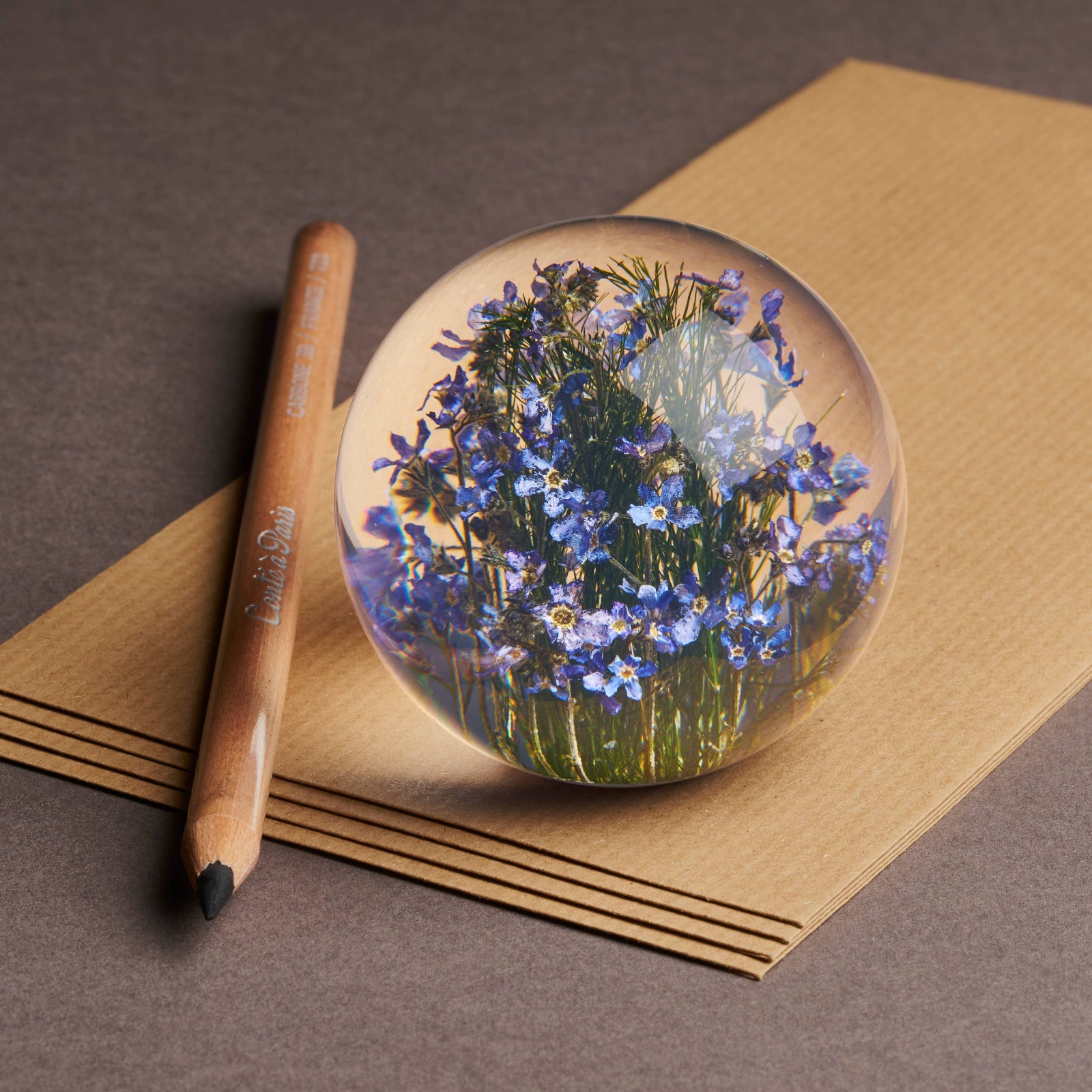 Hafod Grange Forget-Me-Not Botanical Paperweight