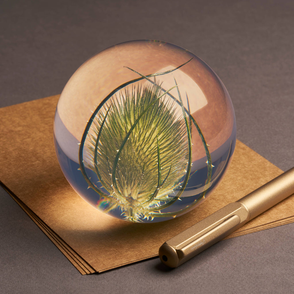 Hafod Grange Teasel Botanical Paperweight