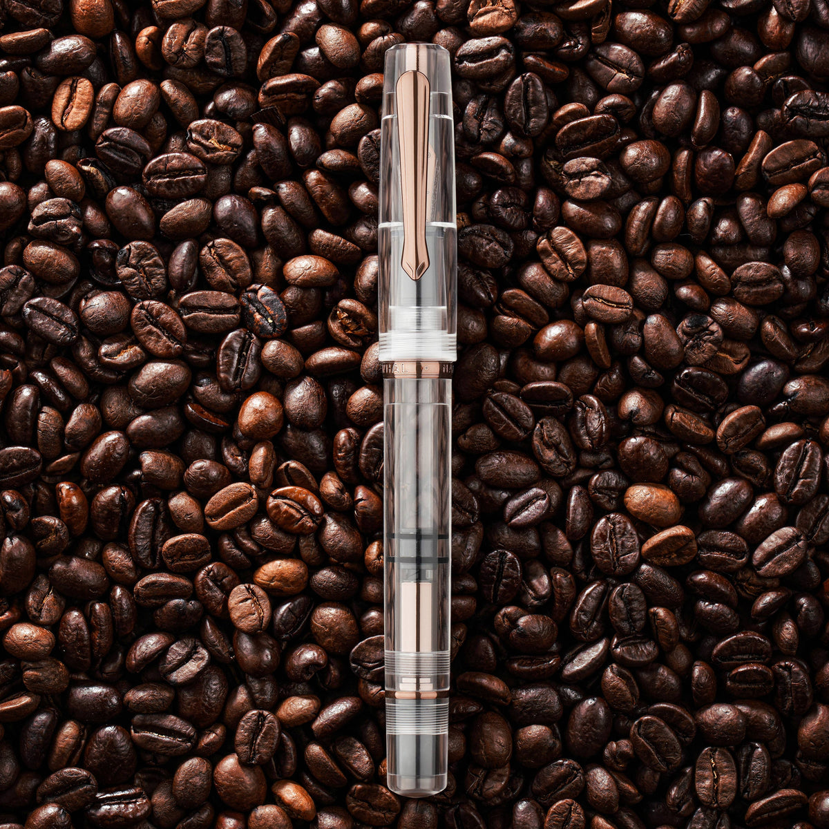Nahvalur Original Fall fountain pen lying on a bed of dark coffee beans