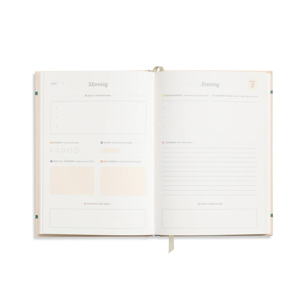Papier Fairy Flies wellness journal, interior guided pages