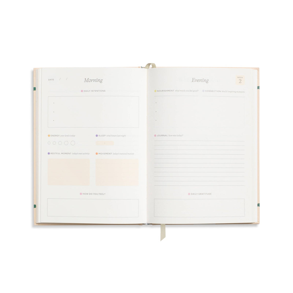 Papier Fairy Flies wellness journal, interior guided pages