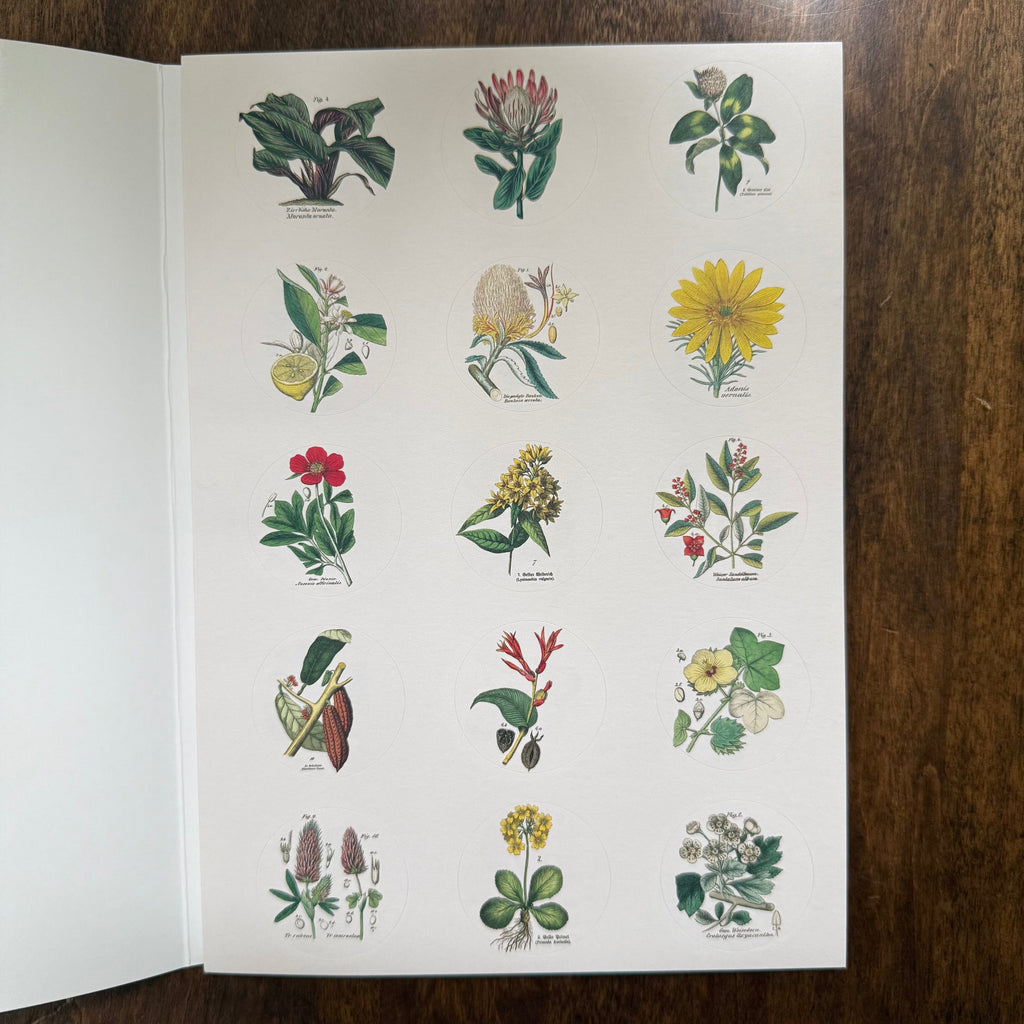 Open PEPIN Flora sticker book showing small vintage botanical label stickers