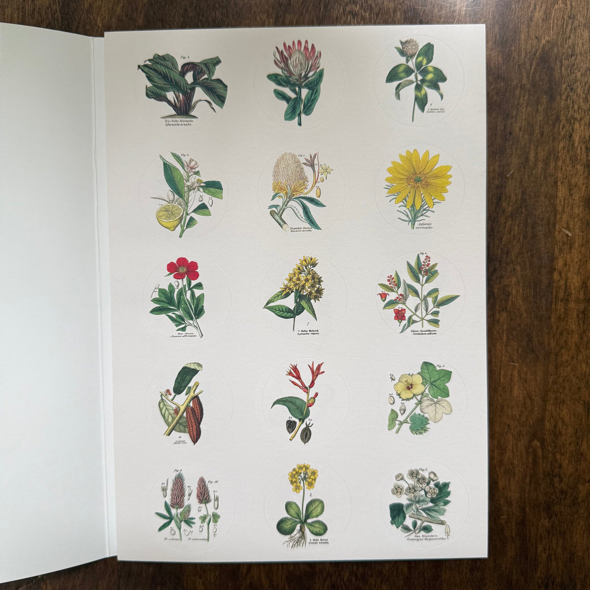 Open PEPIN Flora sticker book showing small vintage botanical label stickers