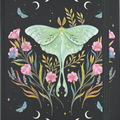Peter Pauper Press Luna Moth Journal