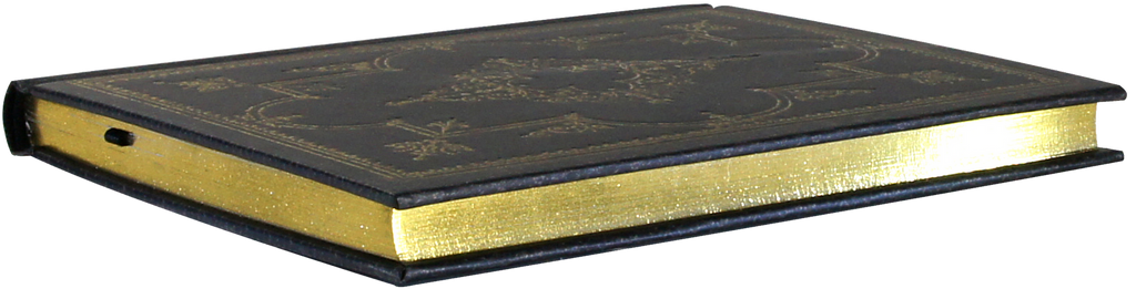 Obsidian Journal, gold-foil cover and gilded edge detail
