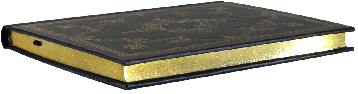 Obsidian Journal, gold-foil cover and gilded edge detail