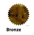 Robert Oster Bronze fountain pen ink swatch showing color and shading