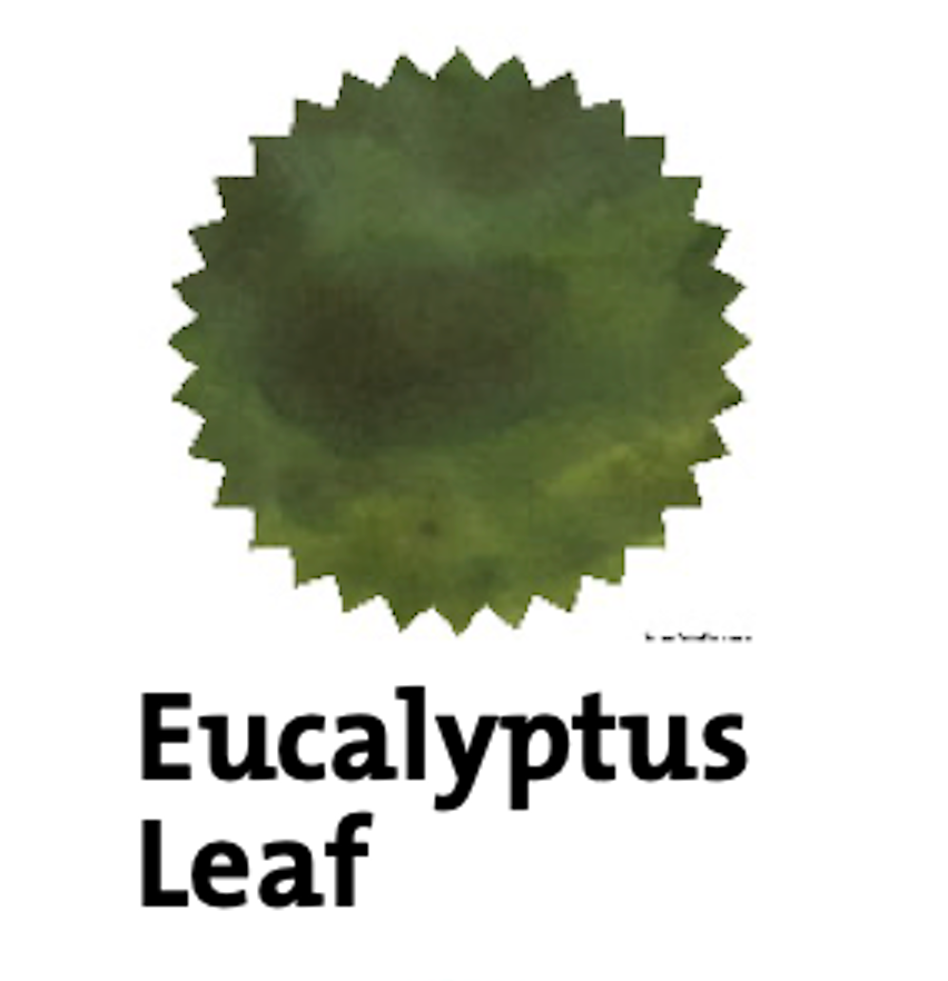 Robert Oster Eucalyptus Leaf fountain pen ink swatch showing color and shading