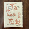 Saturn Press Mushroom Guide letterpress greeting card