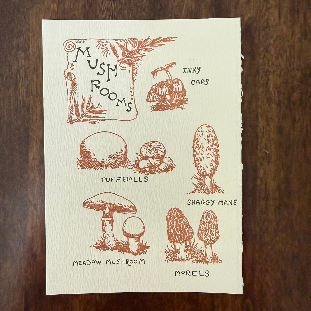 Saturn Press Mushroom Guide letterpress greeting card