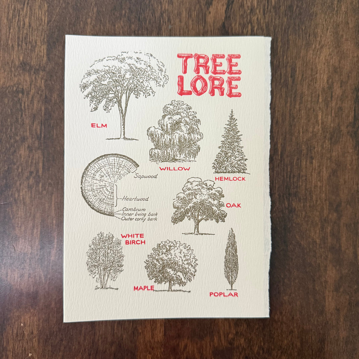 Saturn Press Tree Lore letterpress greeting card