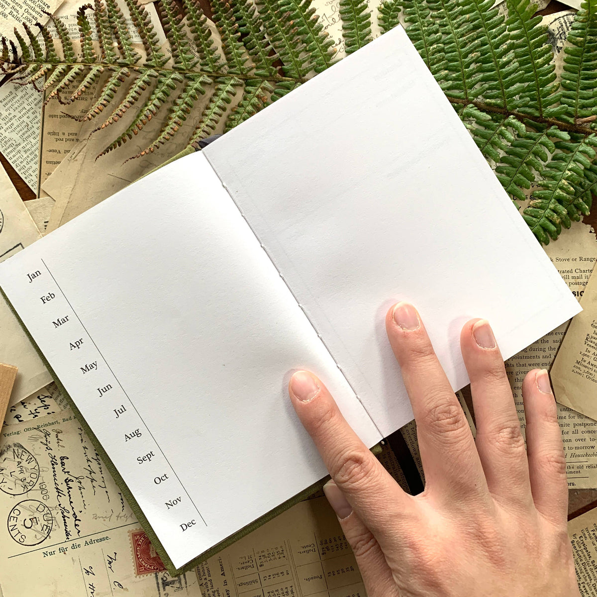 Open Green Foraging A6 Field Journal showing lay-flat interior pages