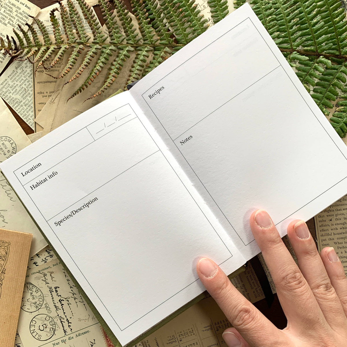 The Creeping Moon Foraging Field Journal showing structured trip-record pages