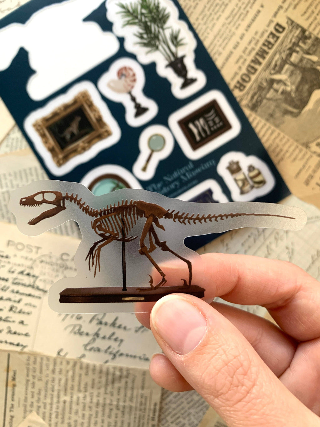 Detail of The Creeping Moon natural-history clear vinyl sticker held in hand