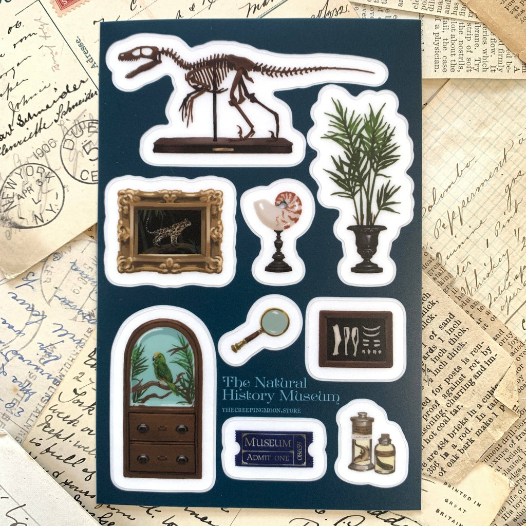 Full 4 × 6 inch Natural History Museum sticker sheet with botanical and specimen designs