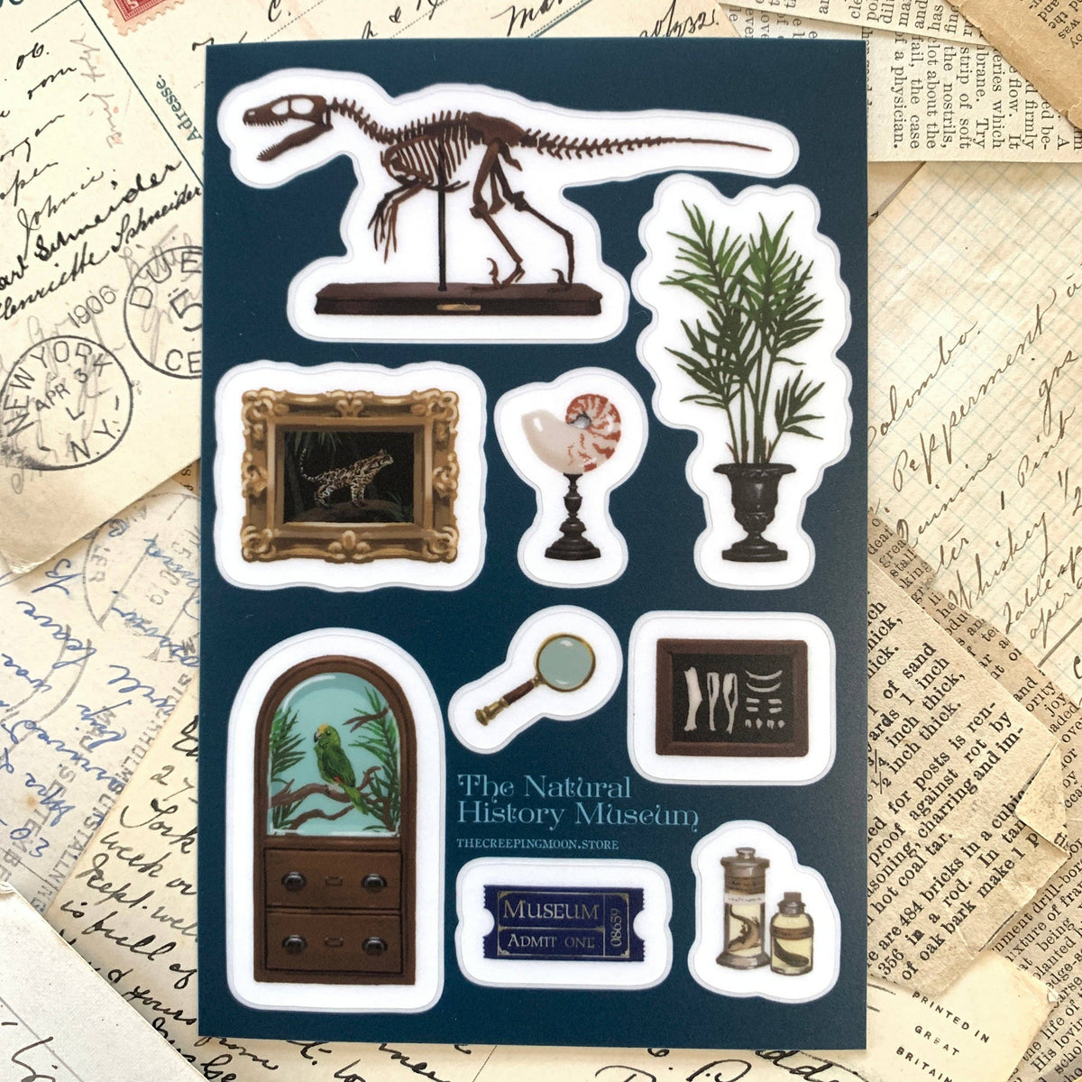 Full 4 × 6 inch Natural History Museum sticker sheet with botanical and specimen designs