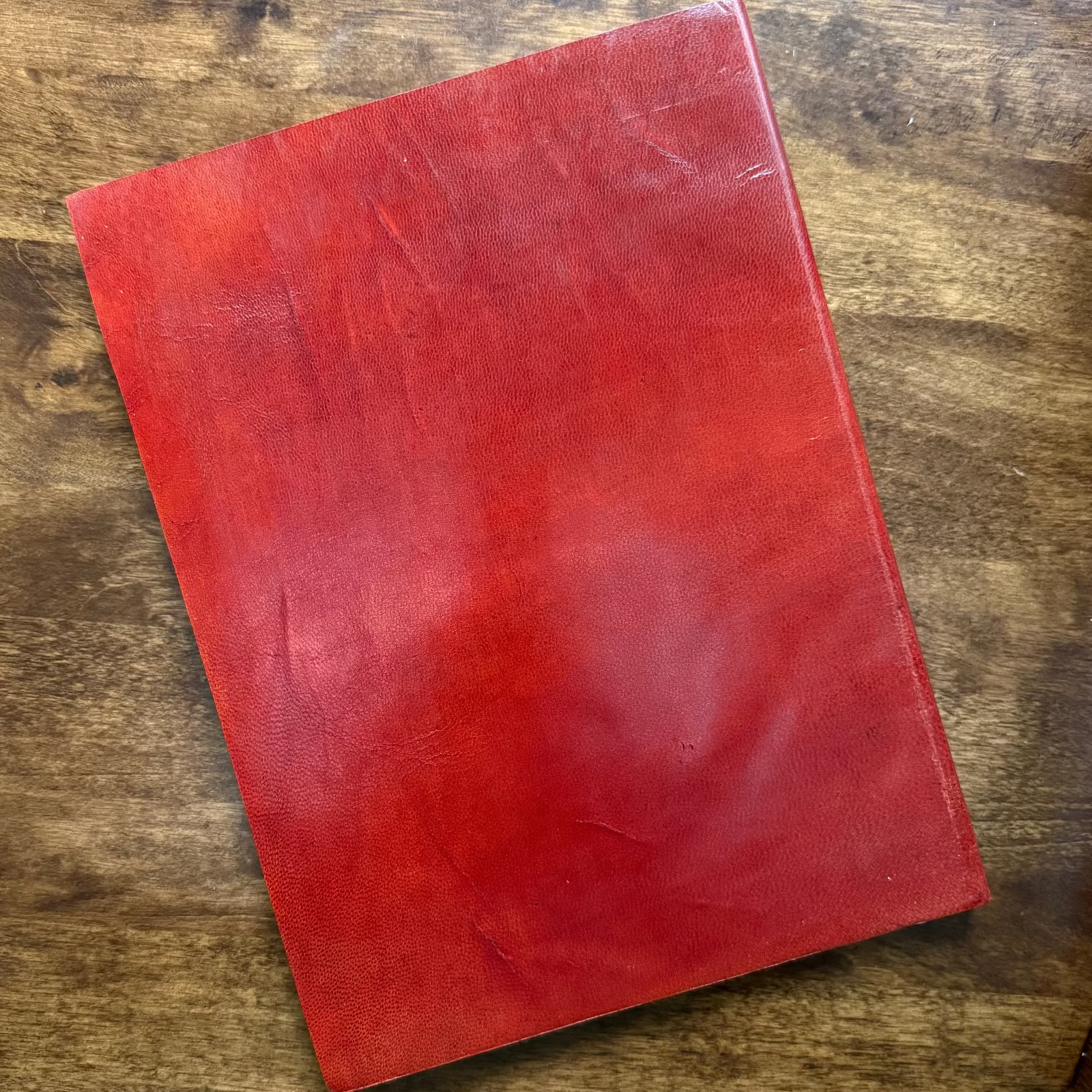 Tri-Art mixed media artist book with genuine leather cover and natural texture