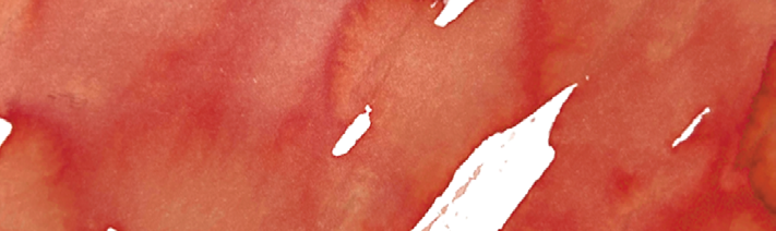 Official Wearingeul swatch of Geppetto fountain pen ink with warm blush red and yellow undertones