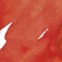 Official Wearingeul Geppetto fountain pen ink swatch showing warm red-orange and brown tones