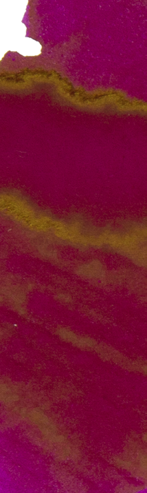 Official Wearingeul swatch of Pride and Prejudice fountain pen ink with vivid pink and golden sheen