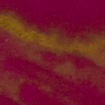 Official Wearingeul Pride and Prejudice fountain pen ink swatch showing pink-red ink with golden sheen