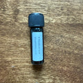 Wearingeul The Wonderful Wizard of Oz fountain pen ink in a 5 mL Boston Lore Studio Archive Bottle